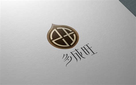 六个核桃标志Logo设计含义，品牌策划vi设计介绍