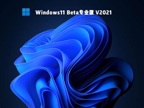 Win11 Beta版下载_Windows11 Beta专业版下载 - 系统之家