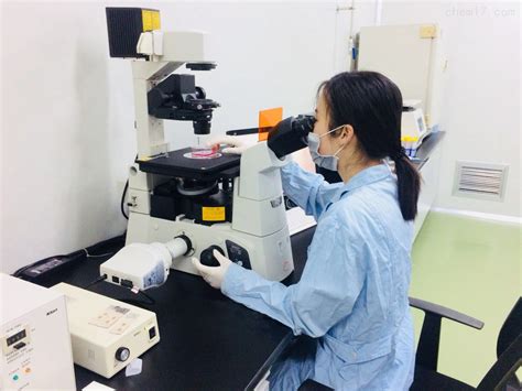 n3dbio磁悬浮3D细胞培养产品已成功培养的细胞类型-北京群晓科苑生物技术有限公司