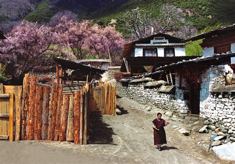 西藏的春天在林芝，林芝至拉萨七天行程，初次进藏全方位攻略 - 知乎