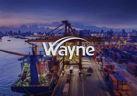 wayne伟仁国际贸易公司取名-贸易公司起名-探鸣品牌起名公司