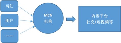 2021中国内容机构（MCN）行业的本质、规模及核心壁垒_互联网_艾瑞网