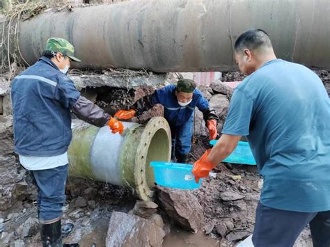 浦江县城乡自来水有限公司饮用水常规项目检测月报表