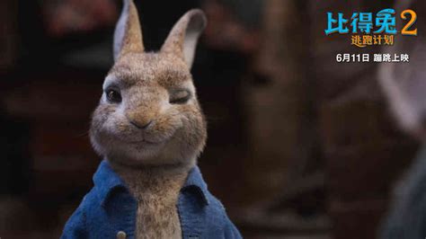 《比得兔2：逃跑计划》先导预告海报双发 原班人马再掀吸兔狂潮-焦点-中国影视网-影视娱乐行业专业网站