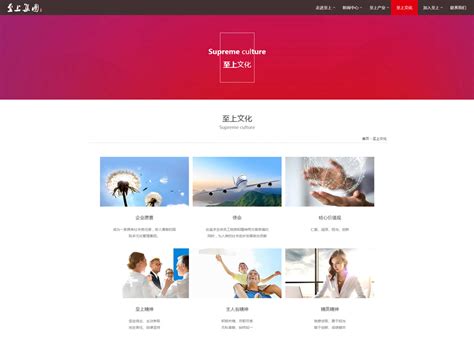 上海网站建设设计制作公司(上海网站制作 公司)_V优客
