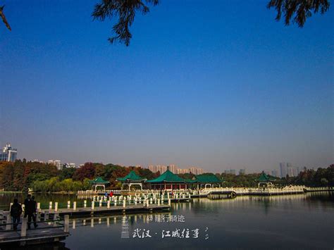 武汉东湖有多美？来看看这篇带摄影教程的东湖旅游心得