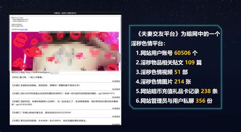 揭广告联盟与淫秽网站利益链 图片多来自珠海_新闻中心_中国网