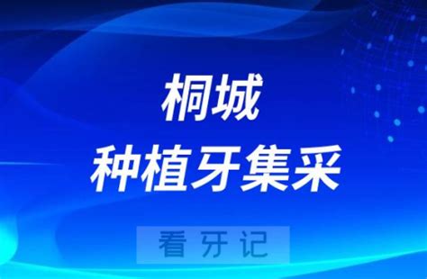 安徽桐城国轩年产40GWh项目 一期10GWh正式投产凤凰网安徽_凤凰网