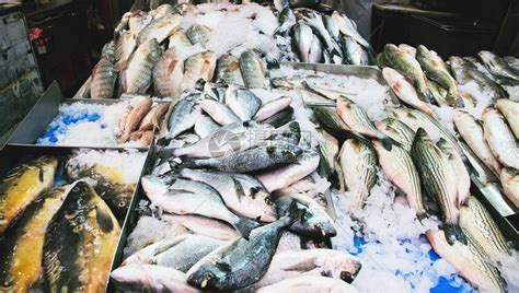 市场上陈列着大量的新鲜鱼。高清摄影大图-千库网