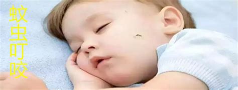 新生儿如何预防宝宝被蚊虫叮咬 孩子被蚊子咬了怎么办 _八宝网