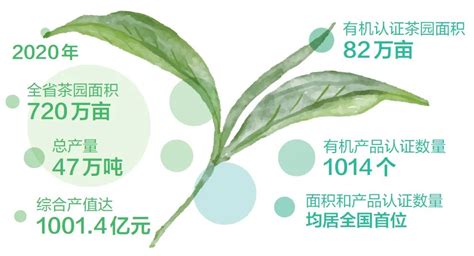 2020年云茶产业实现综合产值千亿元目标_行业动态_天下普洱_云南网