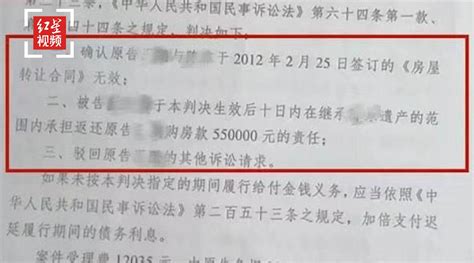 “九岁孤女成老赖案”代理律师向郑州中级人民法院提交再审申请_手机新浪网