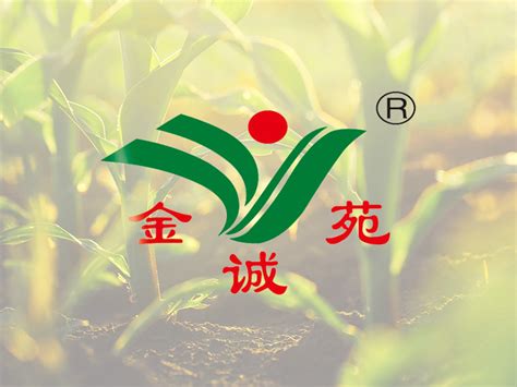 黑龙江省龙科种业集团有限公司|黑龙江大豆种子|玉米种子|水稻种子