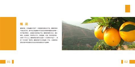 推动赣南脐橙与电商产业的融合发展_中国果品流通协会