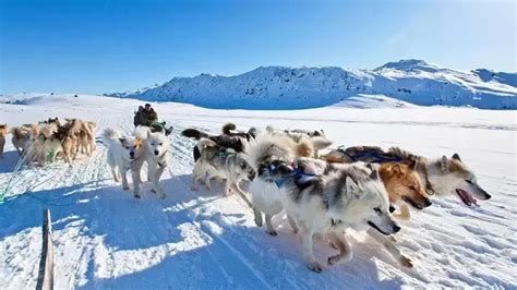 丹麦格陵兰岛乌佩纳维克小镇的冬季🇩🇰 @Thomas看看世界|维克小镇|佩纳|格陵兰岛_新浪新闻