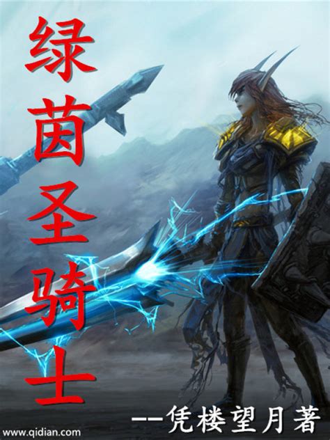 《绿茵圣骑士》小说在线阅读-起点中文网
