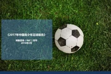 2017年中国青少年足球报告： 盘点当下中国足球青训产业现状 ...
