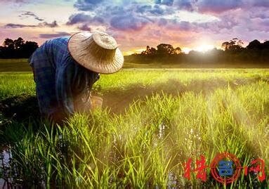 【理论研究】智慧农业已成为世界现代农业发展趋势_智慧农业-农博士农先锋网