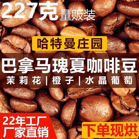 巴拿马詹森庄园单品豆风味特点、产区及冲煮参数 中国咖啡网 07月21日更新