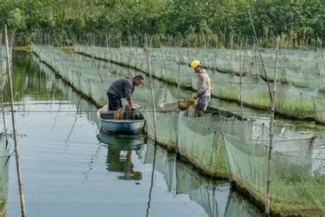 参展企业 | 安徽省上殿湖水产养殖有限公司