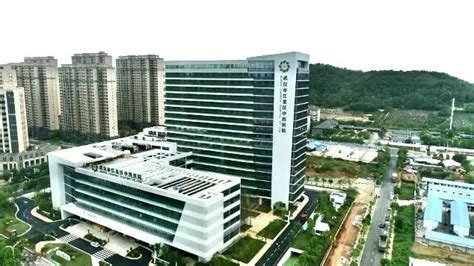 重磅！江夏区中医医院新院区将于11月26日启用！_江夏_新闻中心_长江网_cjn.cn