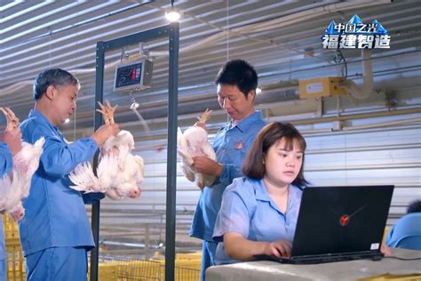 福建小山沟里的养鸡场，如何做成中国白羽肉鸡产业第一？_凤凰网视频_凤凰网