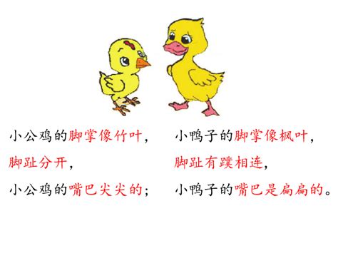 【课文范读】《小公鸡和小鸭子》《树和喜鹊》《夜色》（一年级）_虫子