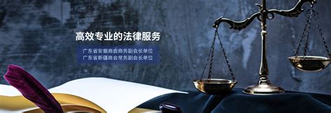 法律咨询_上海市企业服务云