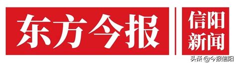 大塆印象新县山茶油 山茶油包装设计 农产品logo标志_灵智品牌营销策划-站酷ZCOOL