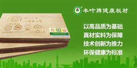 2016年中国十大板材壮象：“十大生态板品牌”实至名归-广西壮象木业有限公司