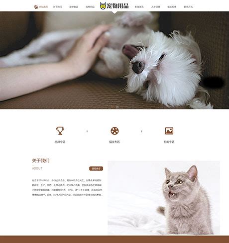 宠物网站制作方案|宠物网站模板|宠物网站源码免费下载-易优CMS
