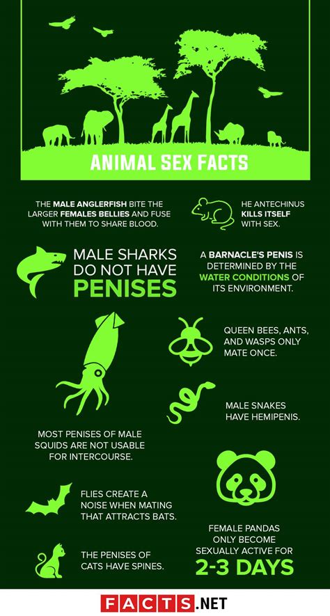 30 Animal Sex Facts & Secrets You Never Knew - Facts.net