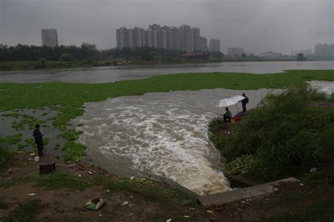 长江的双重身份：主要饮用水源地成最大“下水道”——中国 ...