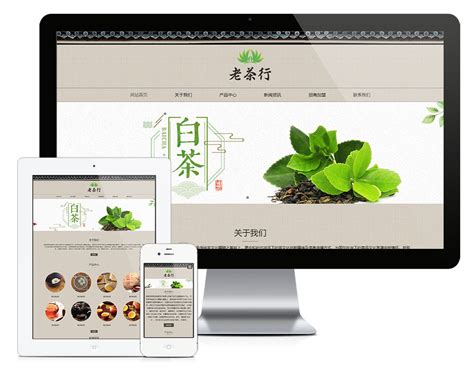 UI设计绿色清新茶饮茶包茶叶web网站首页模板素材-正版图片401761758-摄图网
