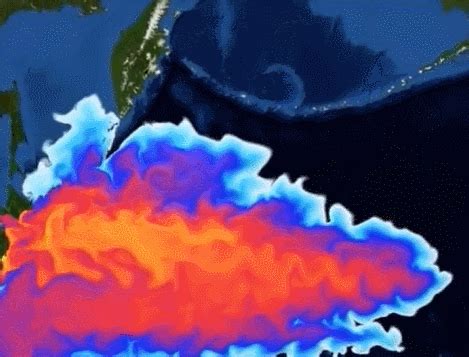 美生物学教授：日本核污染水排海危害巨大
