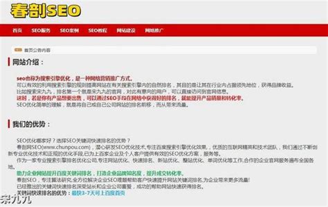 最新版SEO优化指南：今年网站优化方案就靠它了！（基础版）_seo全网优化指南-CSDN博客