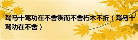 中国人寿安阳分公司开展“我为群众办实事”实践活动 - 安阳新闻网