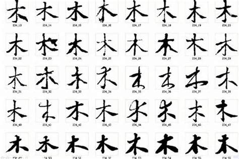 “木” 的汉字解析 - 豆豆龙中文网