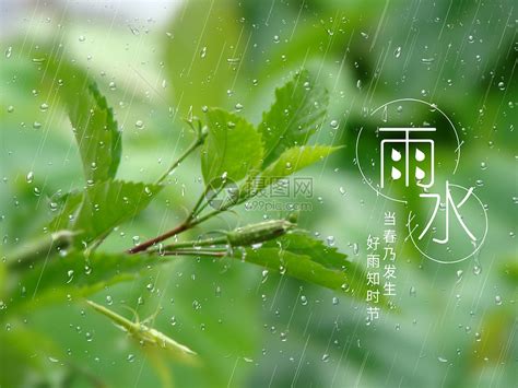 梅雨季节女生雨中撑伞素材图片免费下载-千库网