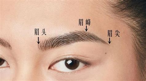 范芳医生谈东方女性眉毛美学标准|延长线|眉毛|眉头_新浪新闻