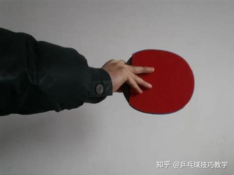 乒乓球基础技能教学 - 知乎