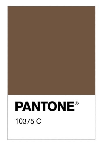 Colore PANTONE® 10375 C - Numerosamente.it