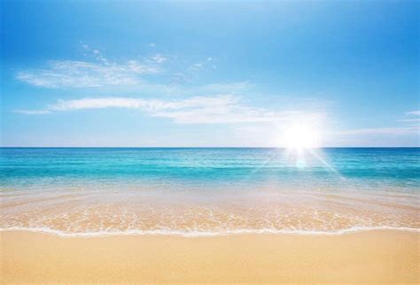 Amazon.com : Yeele 8x6ft Seaside Beach Backdrop for Photography Summer ...