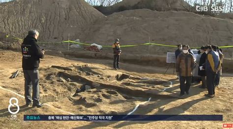 韩国修路时发现千年古墓群 出土1万件文物(图)|古墓群|骆驼|千年古墓_新浪新闻