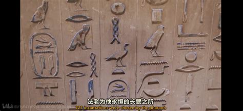 当中国甲骨文与古埃及《亡灵书》在德国柏林相遇时……_古代艺术_澎湃新闻-The Paper