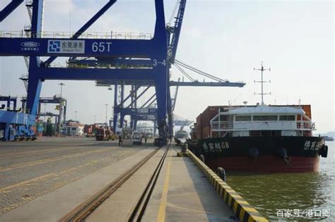 东莞港三期码头正式开通外贸集装箱业务