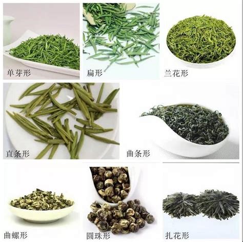 绿茶品种,花茶有哪些品种_大山谷图库