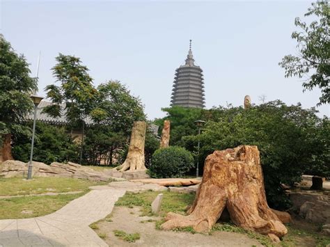锦州地标｜锦州人都是看着一座古塔长大的，它已经矗立了960多年 - 知乎