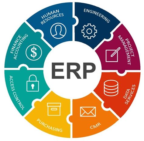 做好这六点，有效提高ERP软件定制的成功率-朗速erp系统
