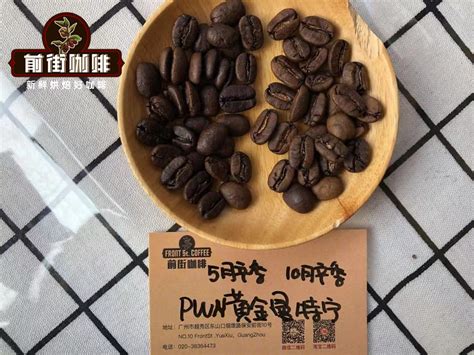 曼特宁咖啡豆特点是什么？曼特宁咖啡豆哪种品牌最好？黄金曼特宁产地介绍。 中国咖啡网
